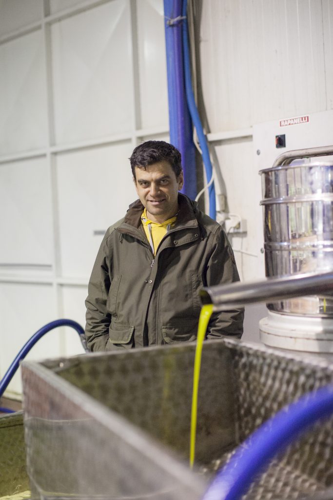 Extra Virgin Olive Oil Cold Pressed vs Cold Extracted